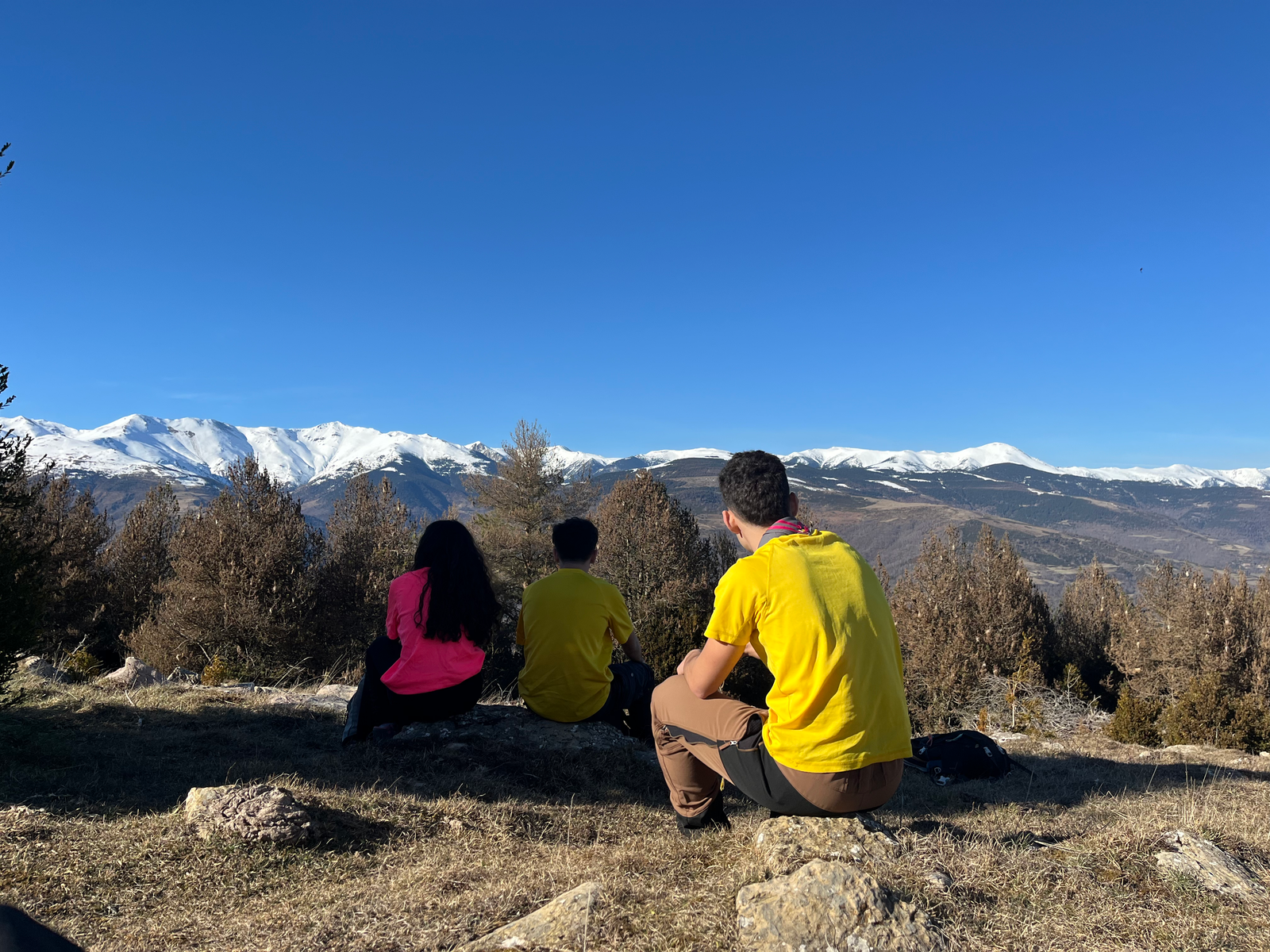 Pioners activitat