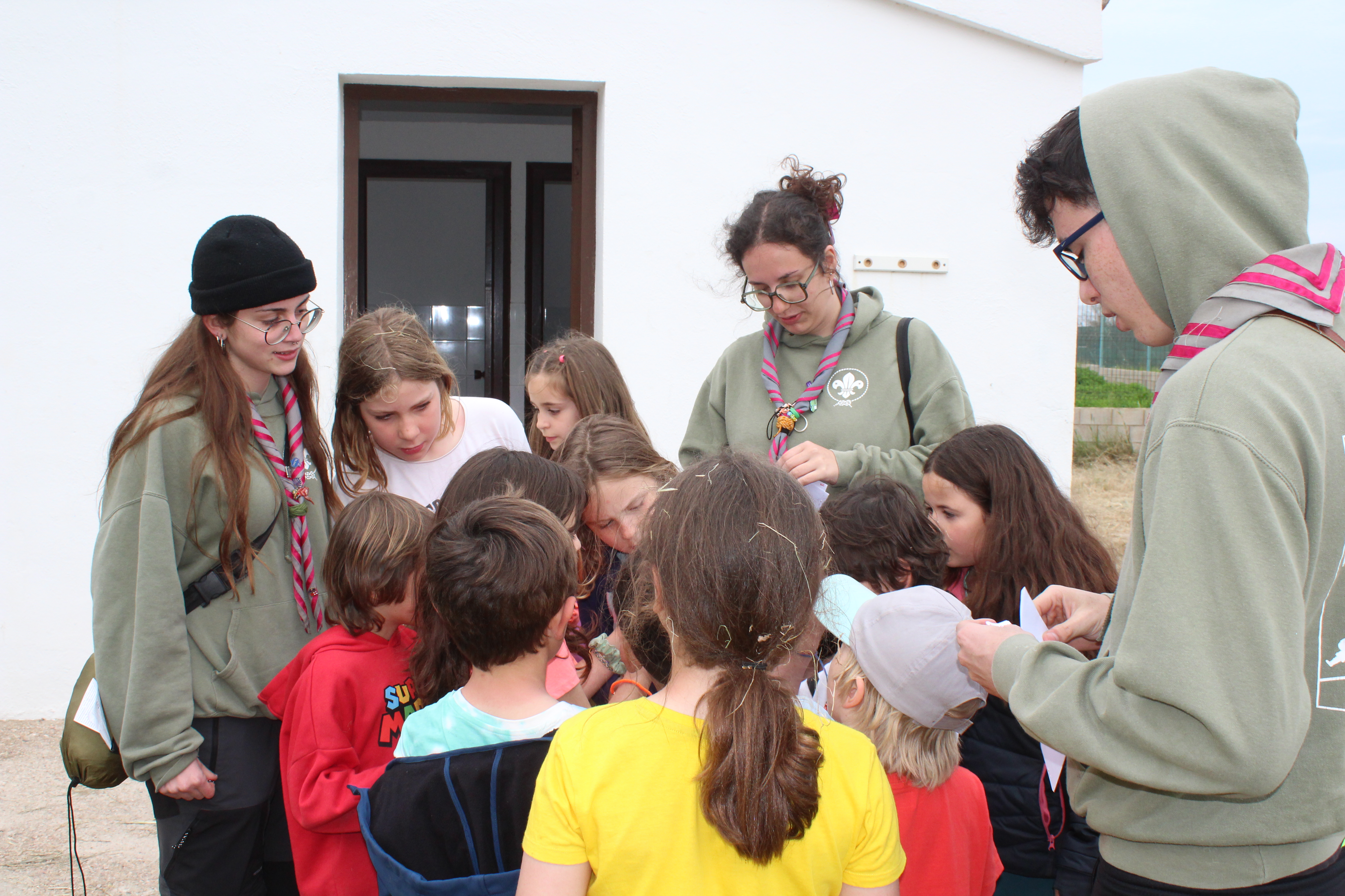 Ròvers activitat